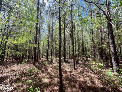 Farm and Ranch in Marengo County, Alabama