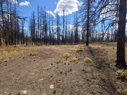 Farm and Ranch for sale in Klamath County, Oregon