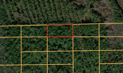 Undeveloped Land for sale in Volusia County, Florida