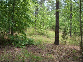 Land in Greenwood County, South Carolina