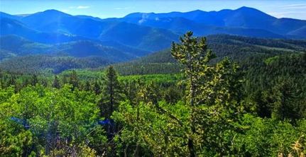 Hunting Property for sale in Gunnison County, Colorado