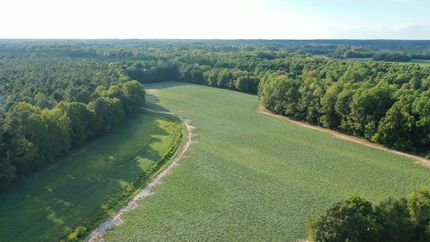 Land for sale in Halifax County, North Carolina