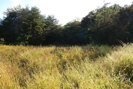 Undeveloped Land for sale in Hampshire County, West Virginia