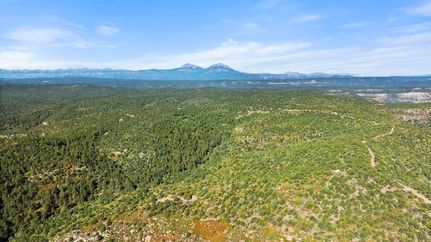Timberland Property for sale in Las Animas County, Colorado