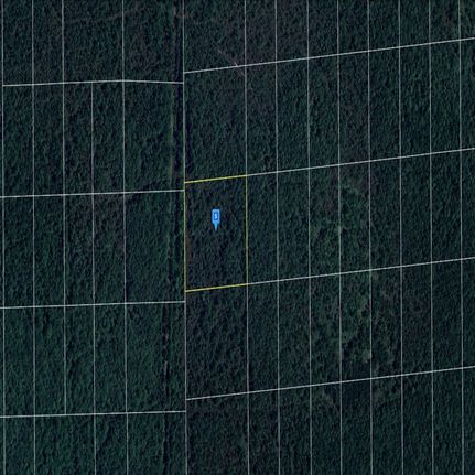 Undeveloped Land in Volusia County, Florida