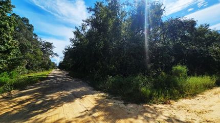 Timberland Property for sale in Putnam County, Florida