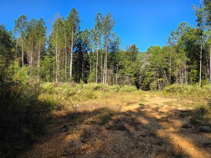 Recreational Property for sale in DeKalb County, Alabama