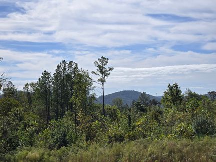 Timberland Property for sale in DeKalb County, Alabama