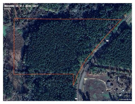 Land for sale in Beauregard Parish, Louisiana