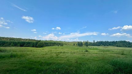 Land for sale in Cleburne County, Arkansas