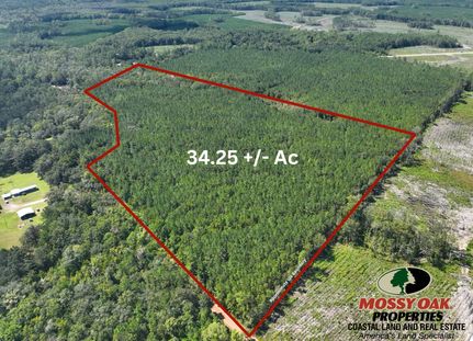 Undeveloped Land for sale in Camden County, Georgia