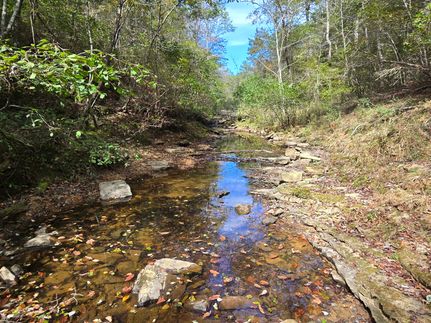 Timberland Property for sale in DeKalb County, Alabama