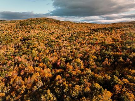 Undeveloped Land for sale in Oxford County, Maine