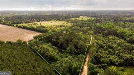 Undeveloped Land for sale in Bulloch County, Georgia