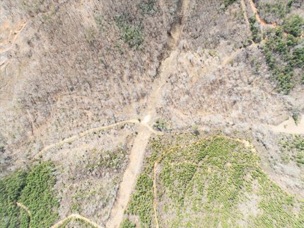 Farm and Ranch for sale in Polk County, North Carolina
