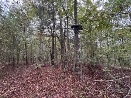 Land for sale in Etowah County, Alabama