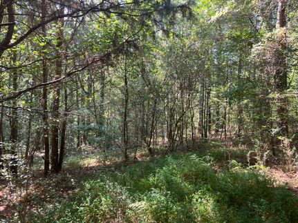 Undeveloped Land for sale in Haralson County, Georgia