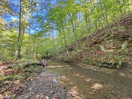 Land for sale in Boone County, West Virginia