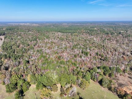 Undeveloped Land for sale in Smith County, Texas