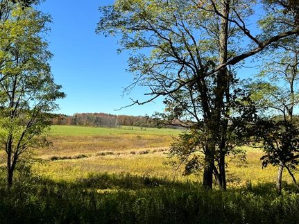 Timberland Property for sale in Chenango County, New York