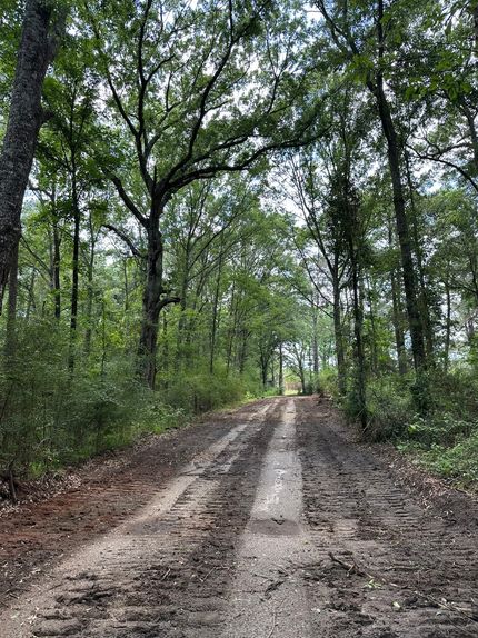 Farm and Ranch for sale in Covington County, Alabama