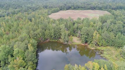 Undeveloped Land for sale in Butler County, Alabama