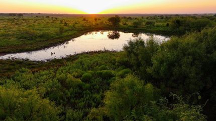 Farm and Ranch for sale in Young County, Texas