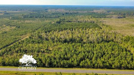 Farm and Ranch for sale in Tattnall County, Georgia