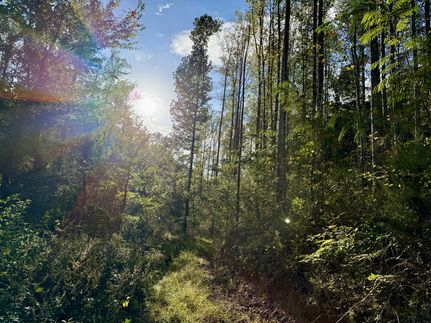 Recreational Property for sale in Moore County, Tennessee
