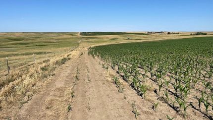 Land for sale in Mellette County, South Dakota