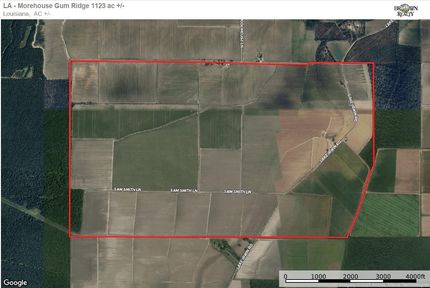 Undeveloped Land for sale in Morehouse Parish, Louisiana