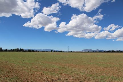 Farm and Ranch for sale in Torrance County, New Mexico