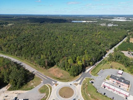 Undeveloped Land for sale in Lee County, Alabama