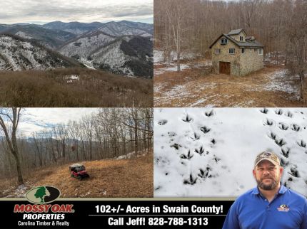 Timberland Property for sale in Swain County, North Carolina