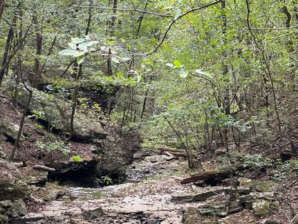 Farm and Ranch for sale in Van Buren County, Arkansas