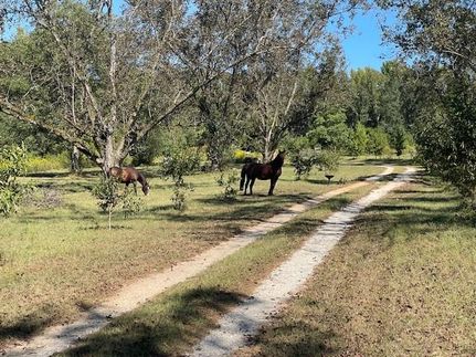 Farm and Ranch for sale in Macon County, Alabama