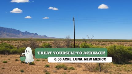 Undeveloped Land for sale in Luna County, New Mexico