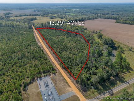 Timberland Property for sale in Telfair County, Georgia