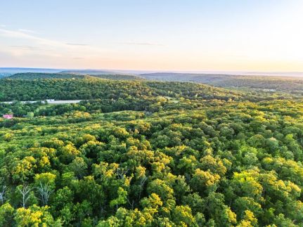 Undeveloped Land for sale in Okmulgee County, Oklahoma