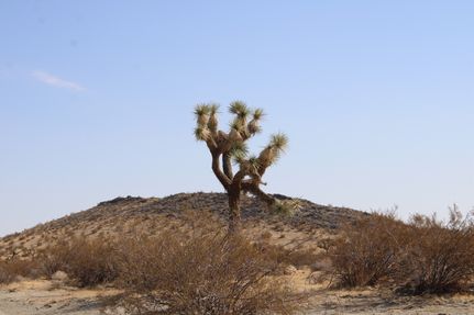Undeveloped Land for sale in San Bernardino County, California