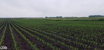 Land for sale in Cottonwood County, Minnesota