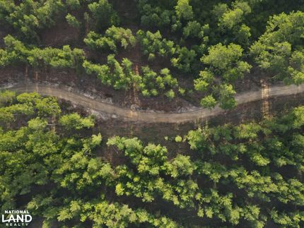 Land for sale in Perry County, Mississippi