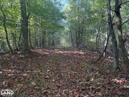 Hunting Property for sale in Decatur County, Tennessee