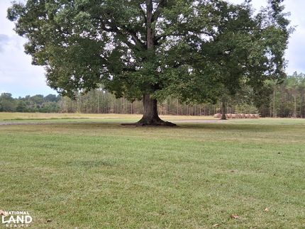 Horse Property for sale in Union County, Mississippi