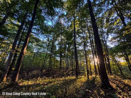 Undeveloped Land for sale in Ripley County, Indiana