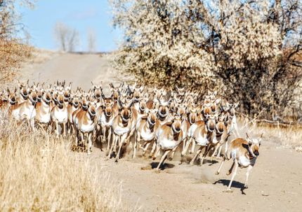 Timberland Property for sale in Big Horn County, Wyoming