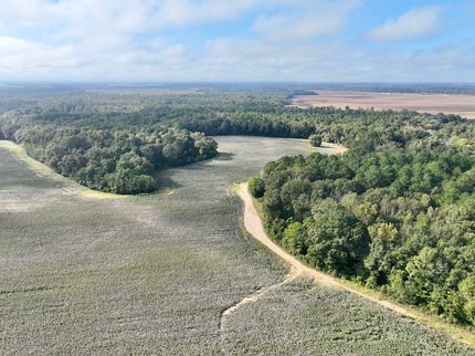Land for sale in Pulaski County, Georgia