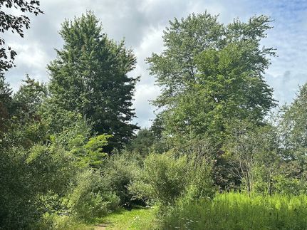 Recreational Property for sale in Sanilac County, Michigan