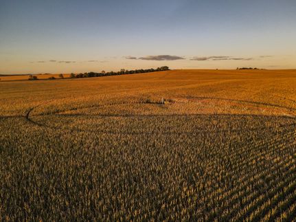 Farm and Ranch for sale in Antelope County, Nebraska