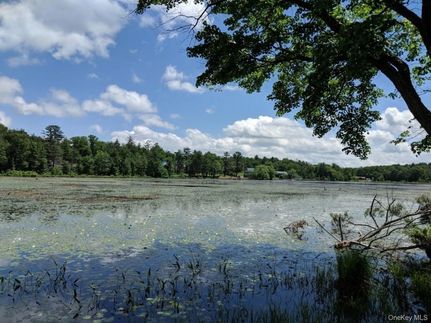 Recreational Property for sale in Sullivan County, New York